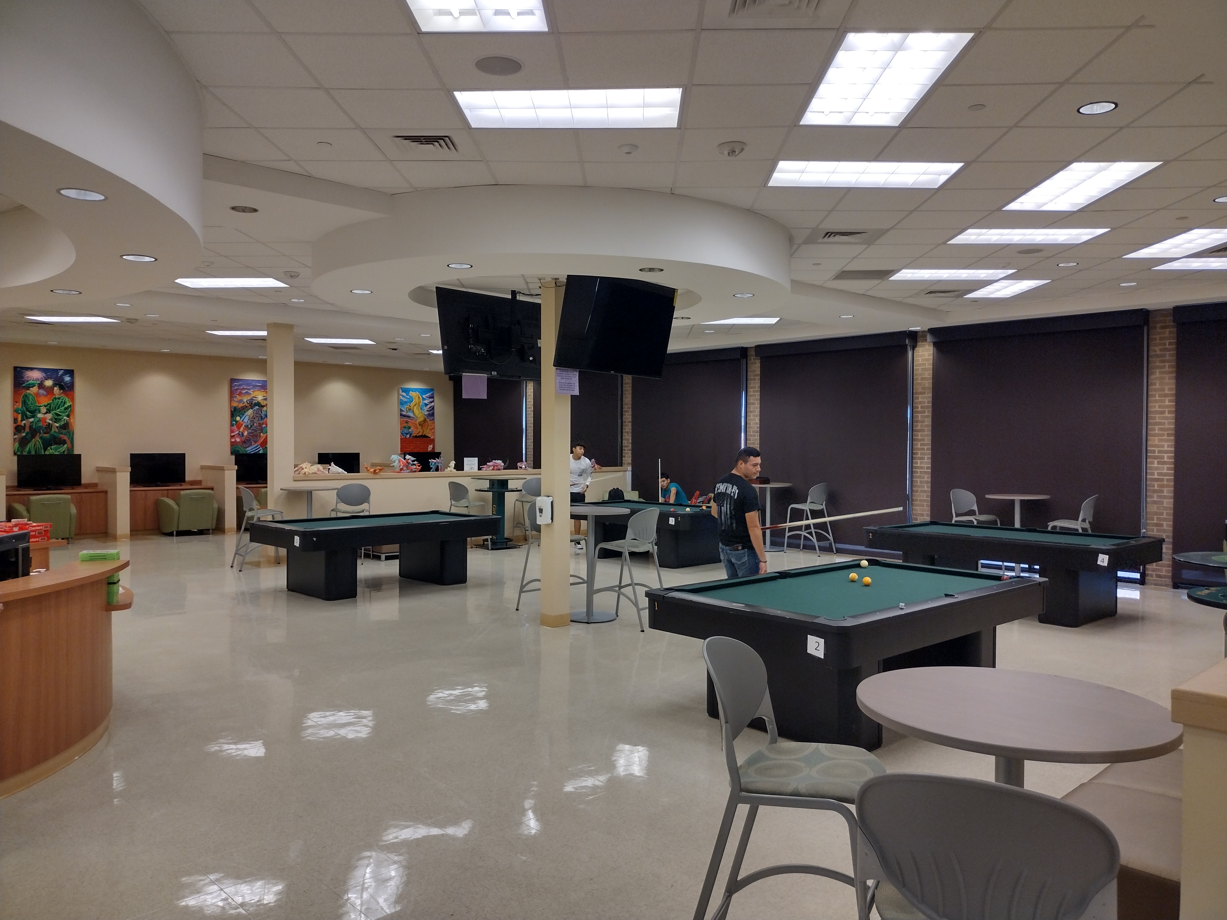 Pool Table Area